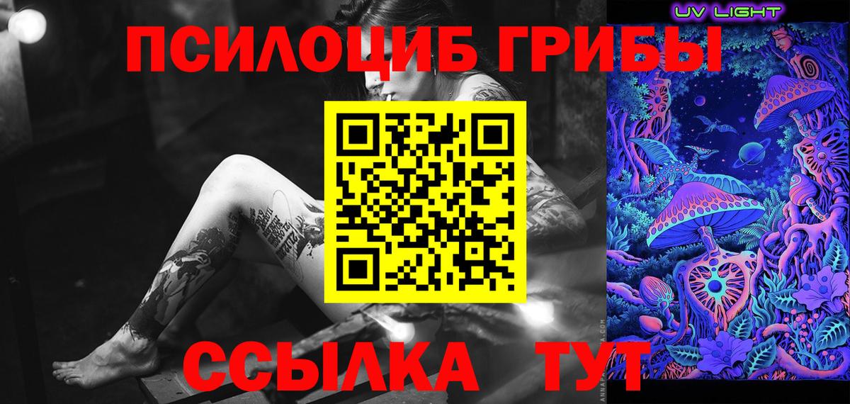 Псилоцибиновые грибы прущие грибы Тверь